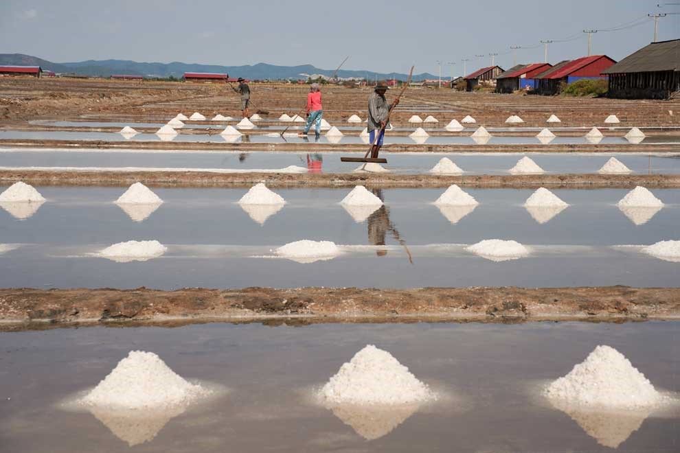 Kingdom enhances salt marsh management in Kampot-Kep